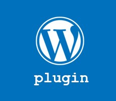 wordpress customizer export import plugin