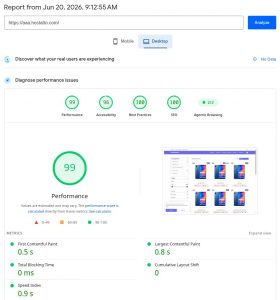 hostatto google page speed performance 99%